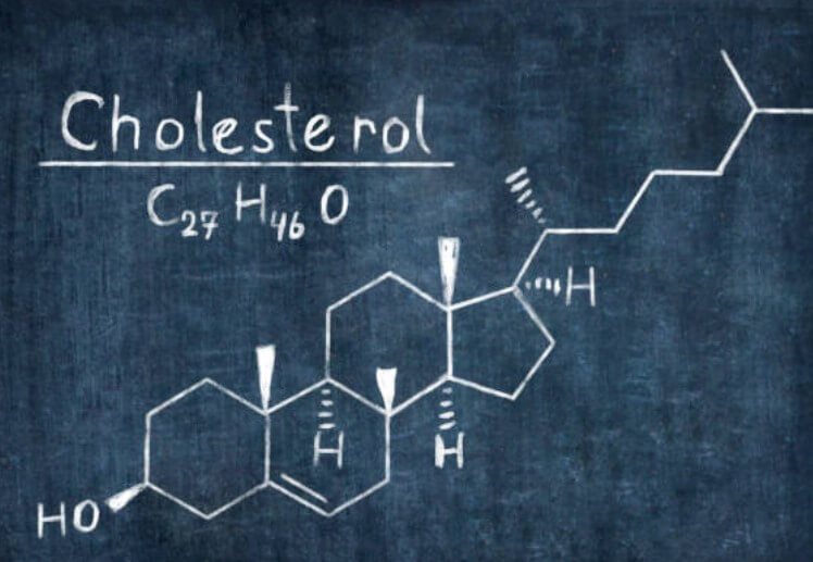 콜레스테롤남성추치