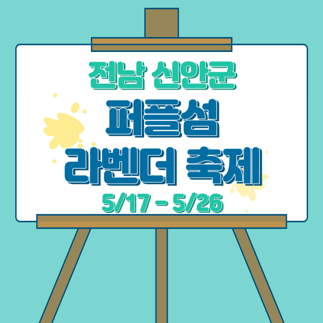 신안 라벤더 축제 (1)