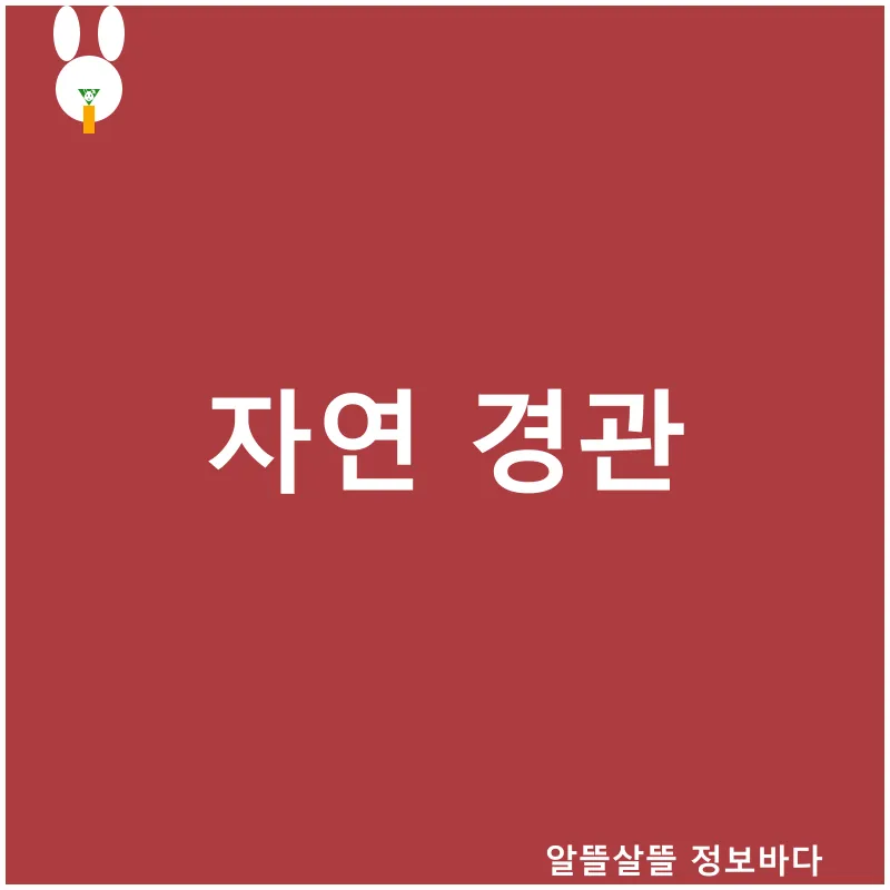 제주도뚜벅이여행_3
