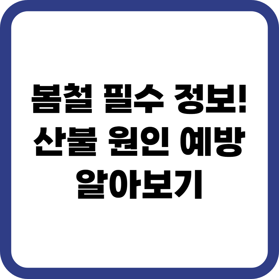 봄철 필수 정보! 산불 원인 예방 알아보기