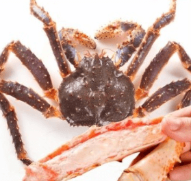 수험생 할인 혜택