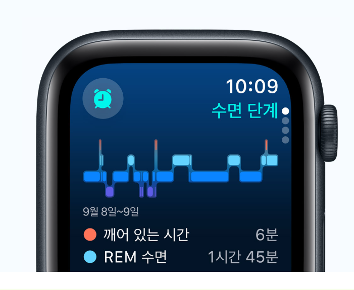 애플워치 유지비