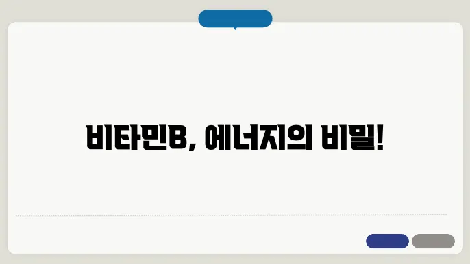 비타민b 효능
