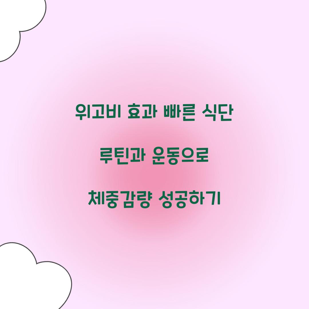 위고비 효과 빠른 식단 루틴