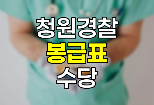 2024년 청원경찰 봉급표 및 수당 상세 정리