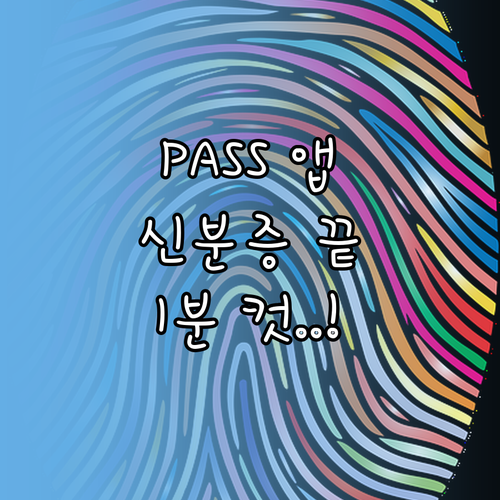 PASS 패스 앱 본인 확인 및 모바..