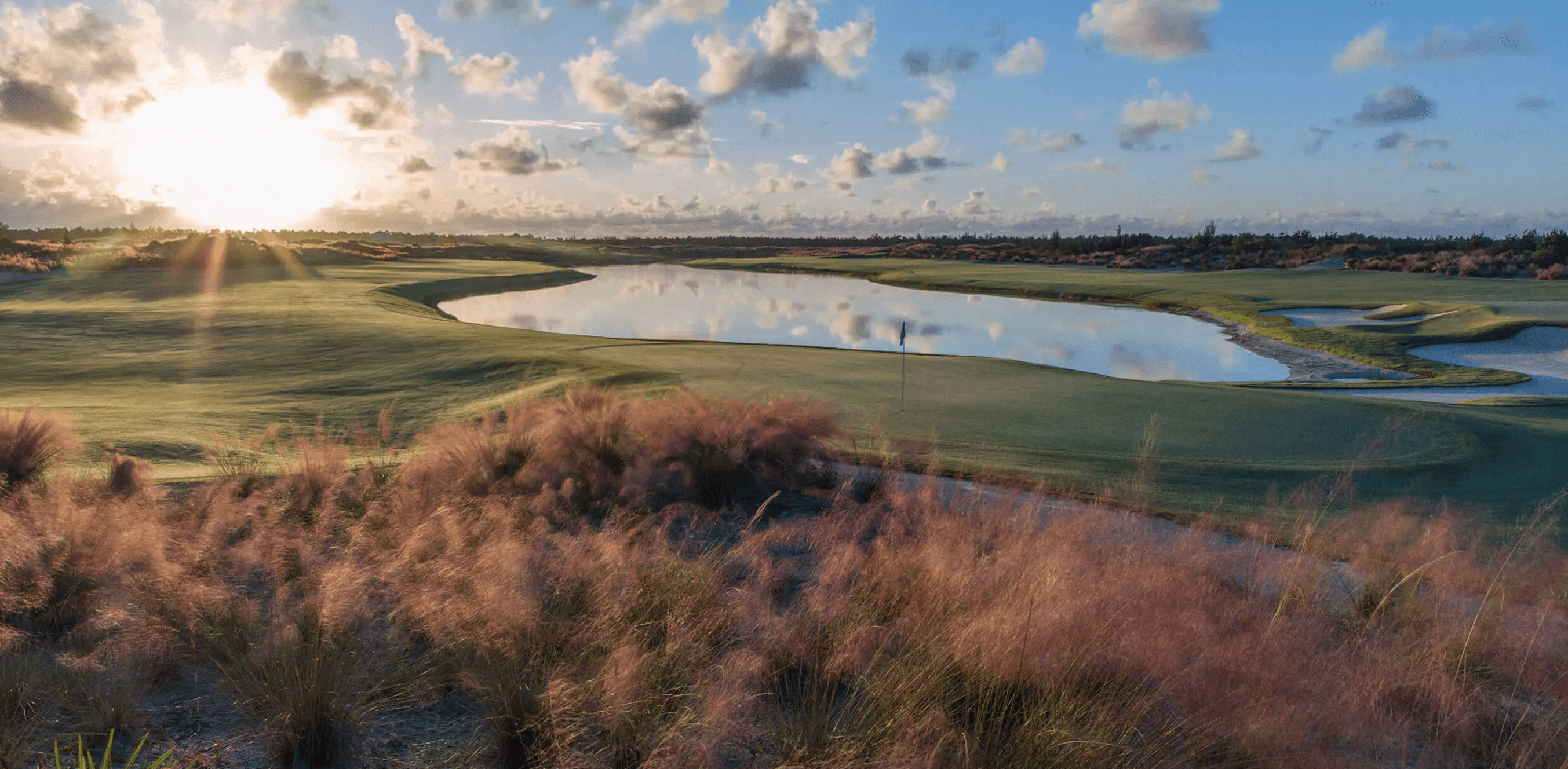 알바니 바하마 골프 코스