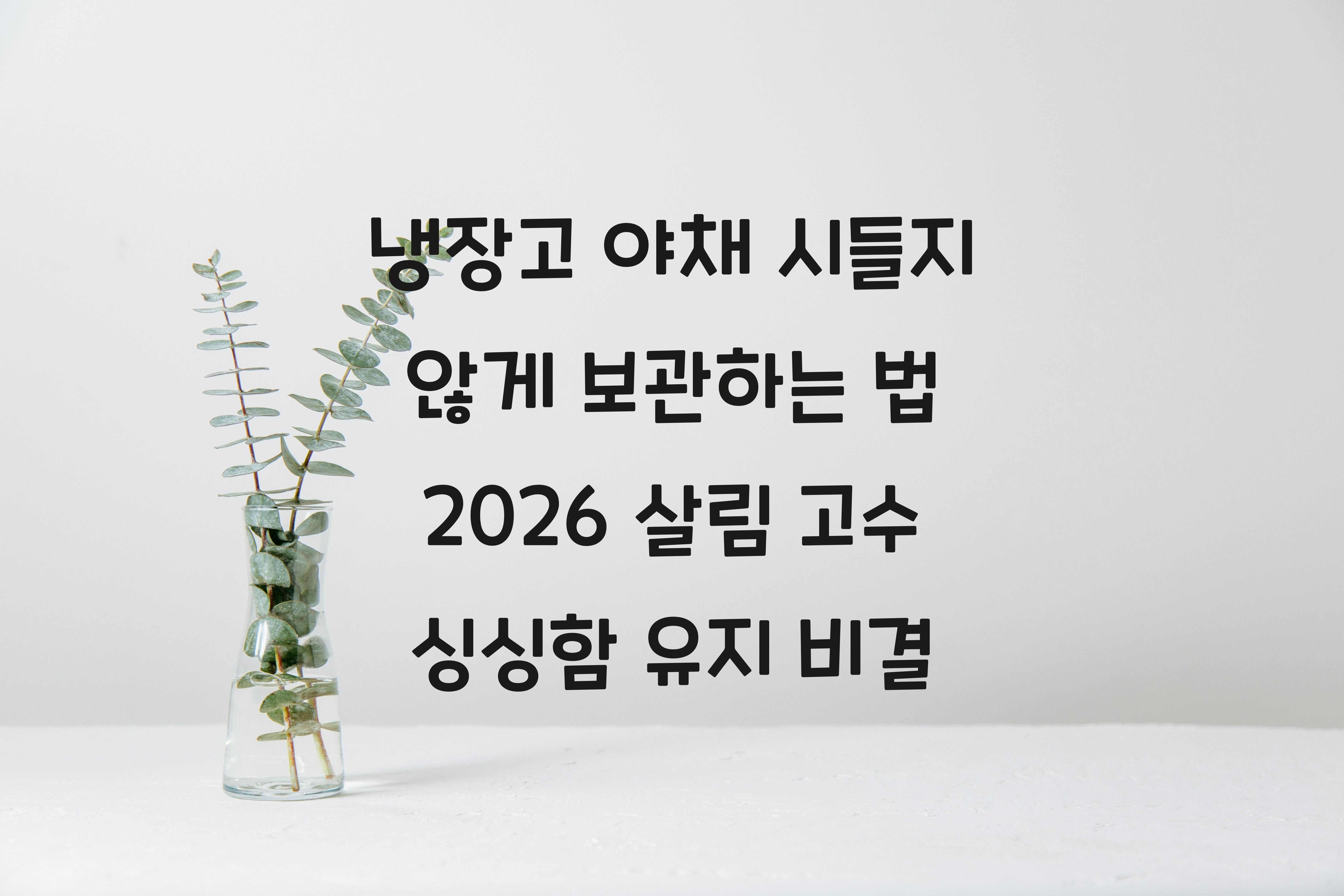냉장고 야채 시들지 않게 보관하는 법