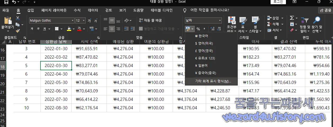 기타 회계 표시 형식