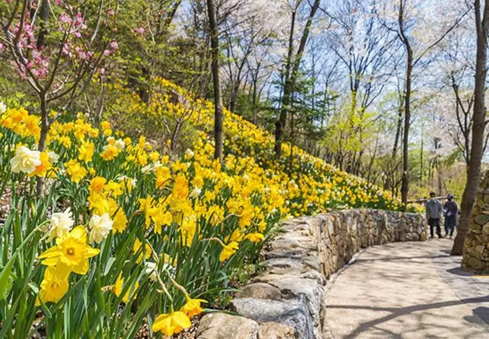 화담숲-예약하기-봄시즌-오픈-예매-입장료