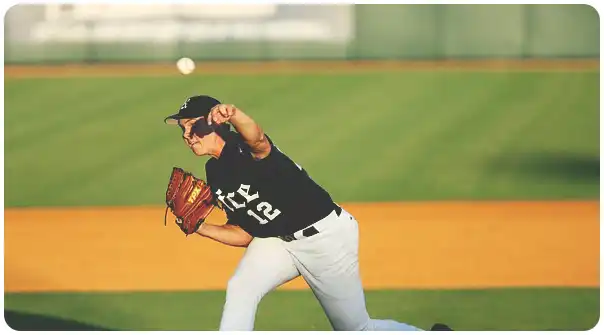 WBC์ WBSC(ํ๋ฆฌ๋ฏธ์ด 12) ์ผ๊ตฌ์ ์ฐจ์ด์ 