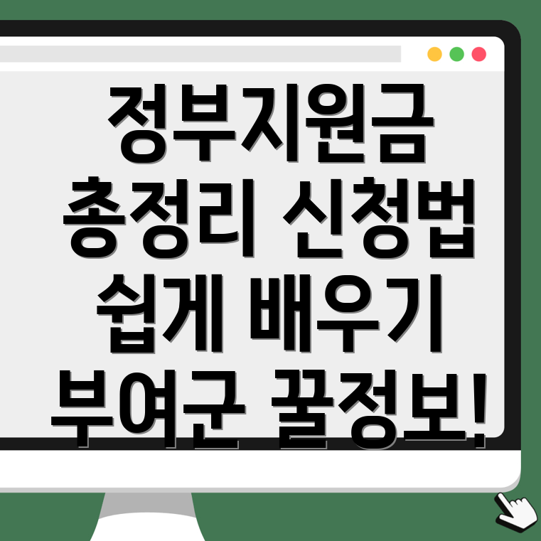 정부지원금