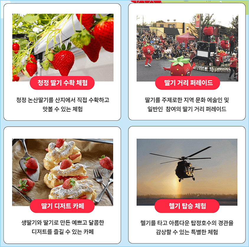 논산딸기축제 메인 프로그램