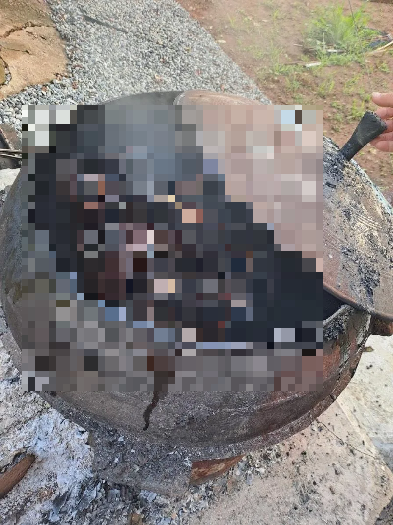 반려견 가마솥 사건