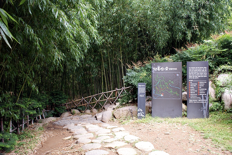 아홉산숲