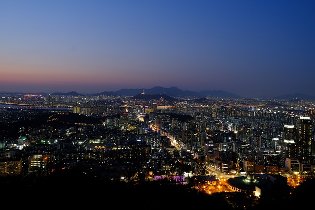 서울 문화의 밤