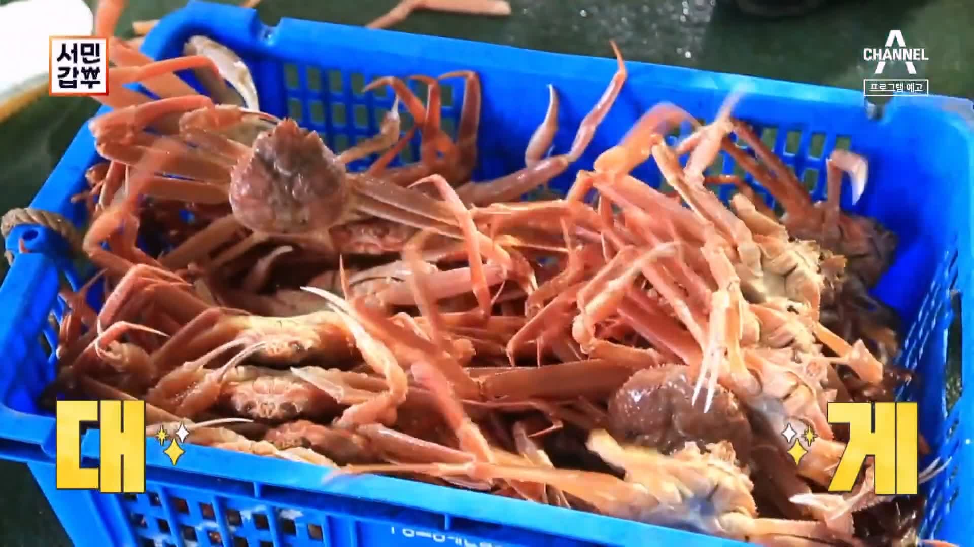 서민갑부 포항 생물 대게 전국 택배 배송 상위 1% 오디션 박달대게 파는 연 매출 30억 원 청년 장사꾼 갑부 방송 정보