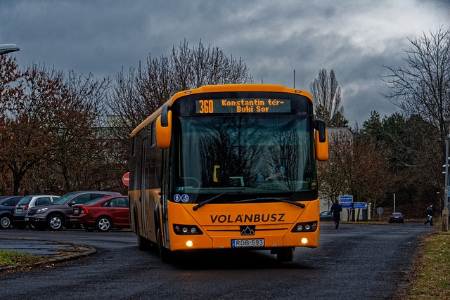 6019 공항버스 시간표, 노선도, 예매 방법 - 5분만에 총정리