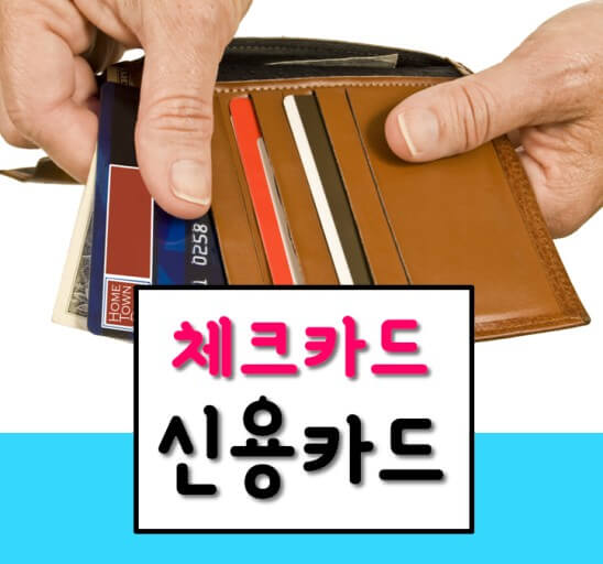 몇장의 카드 휴대