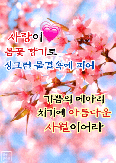 사랑과 봄꽃의 향기가 어우러진 4월 인사말 이미지, 감성적인 문구와 함께 행복을 기원하는 사진
