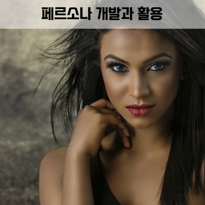 제목_마케팅 페르소나 (Persona) 개발과 활용: 고객을 파악하고 성공적인 마케팅 전략을 구축하는 핵심 요소