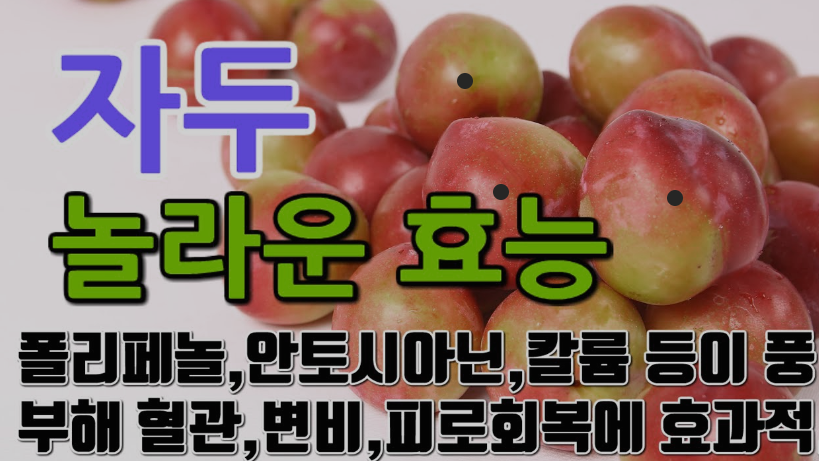 자두의 7가지 효능