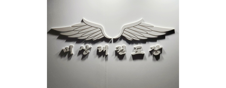 용인 기흥구 태권도장