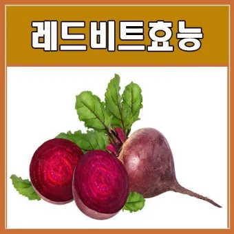 비트즙 먹는 방법 복용법 효능 부작용 정보_13