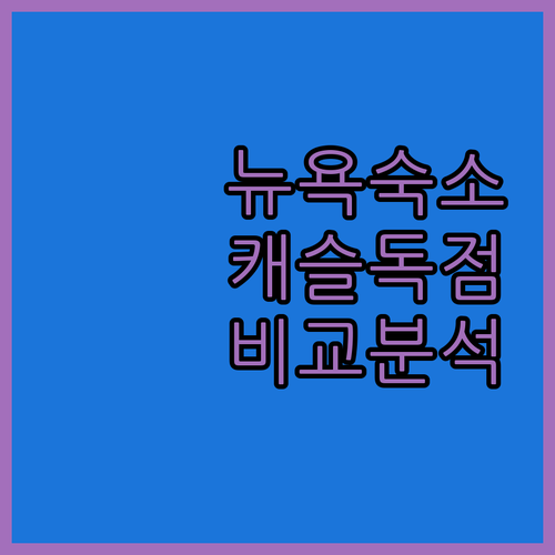 뉴욕 앰스터댐 숙소 추천 암스테르담 ..