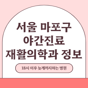 서울 마포구 야간진료 재활의학과 병원 (18시 이후 늦게까지하는 병원)