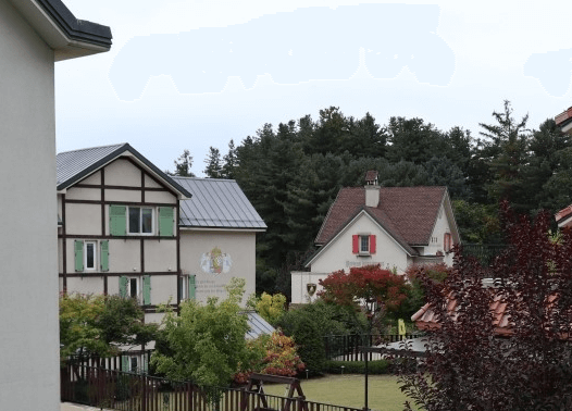 스위스-에델바이스