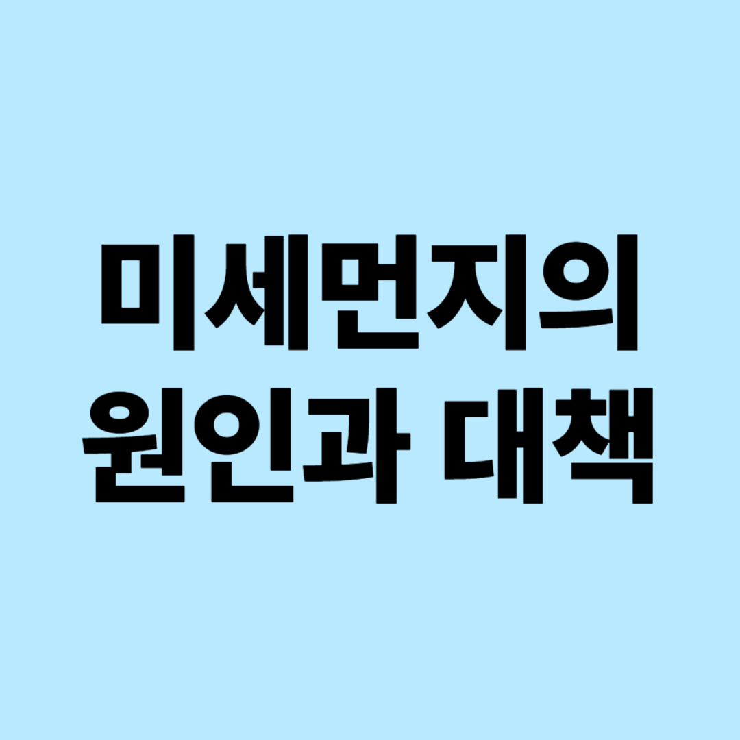 미세먼지의 원인과 대책