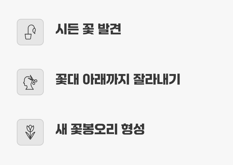 더 많은 얼굴을 만나는 즐거운 습관