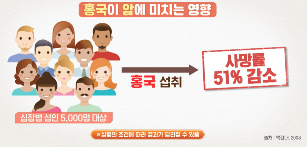 발효 홍국 효능
