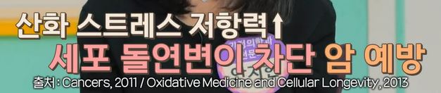 글루타치온 효능