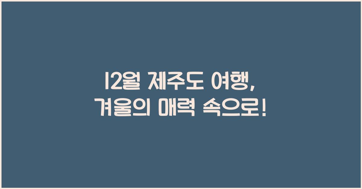 12월 제주도 여행