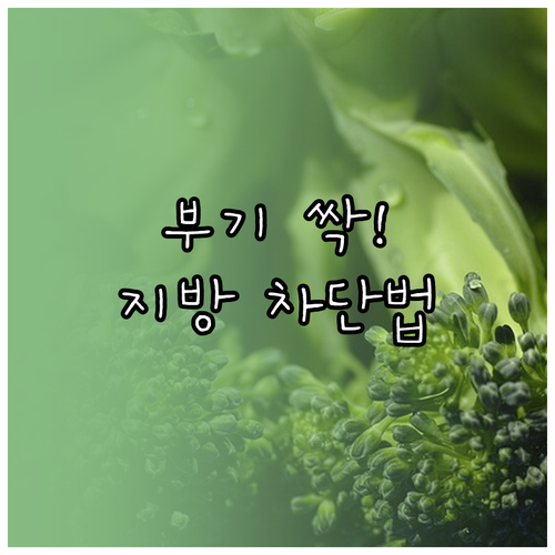 주말 과식 후 부기 빼고 체지방 합성..