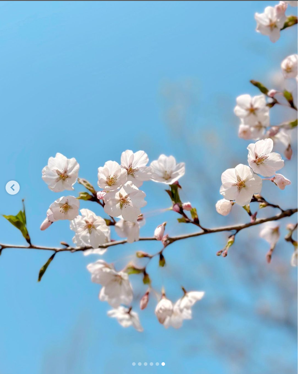 바다향기수목원