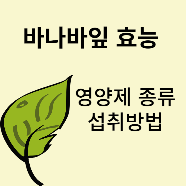 혈당 영양제