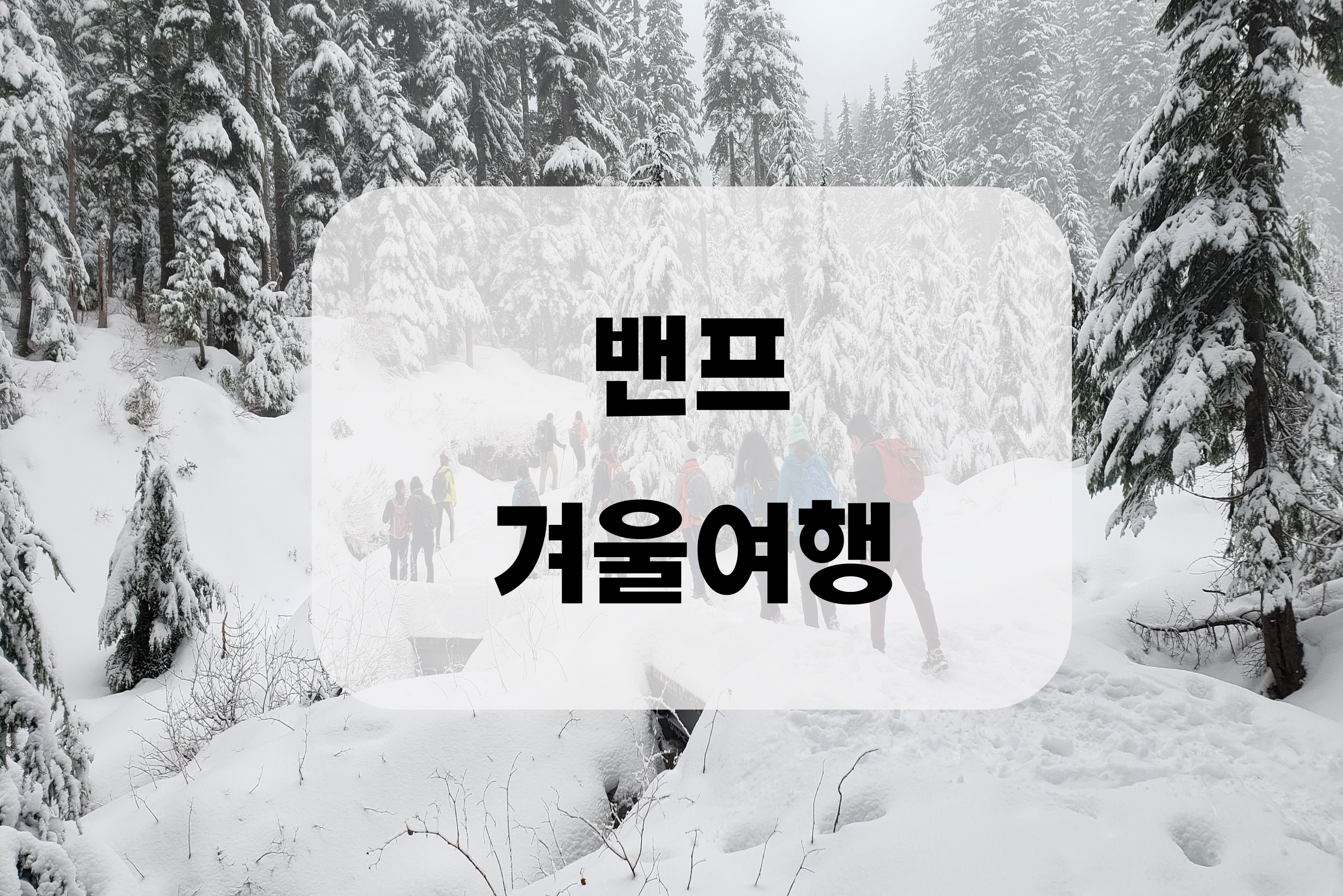 캐나다 밴프 겨울여행 가는 방법