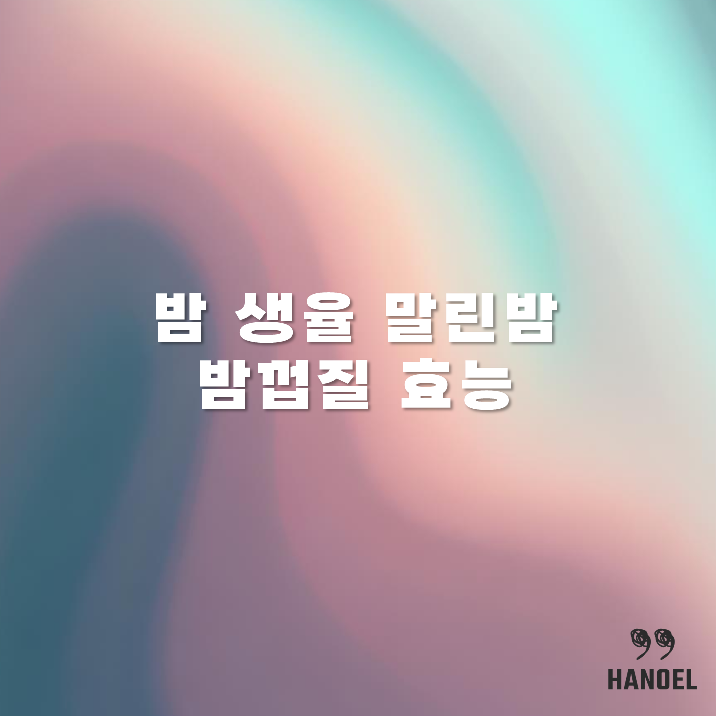 밤 생율 말린밤 밤껍질 효능