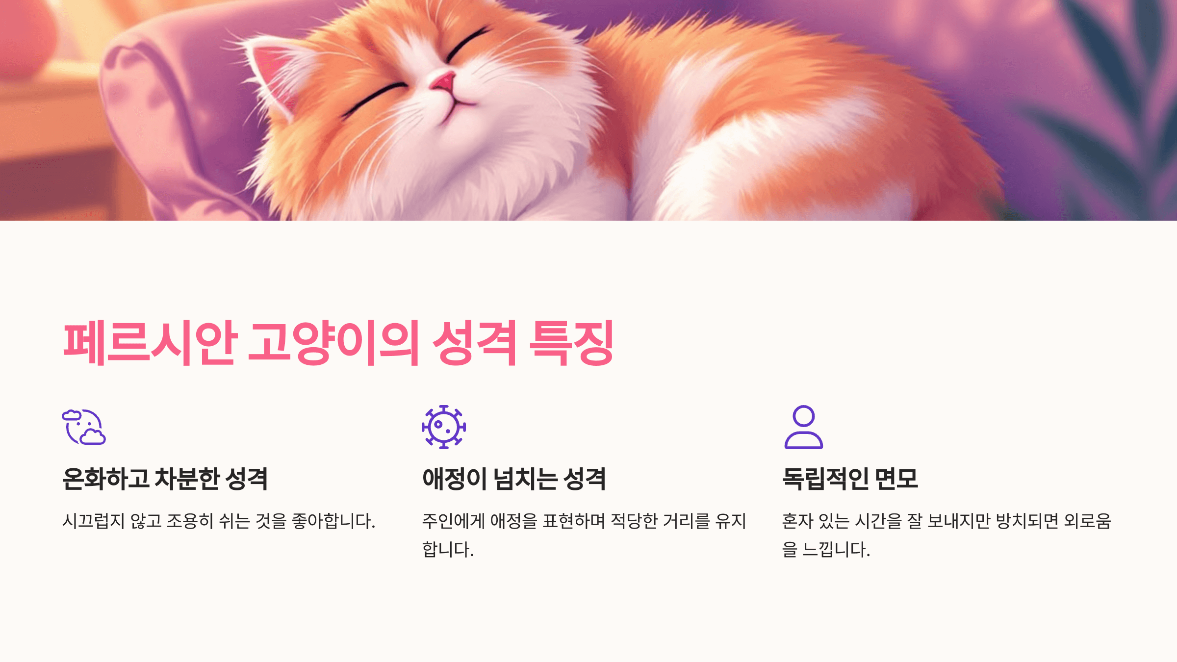 페르시안 고양이 사진입니다.