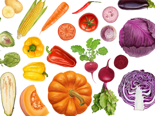 색깔 음식 챙겨먹기