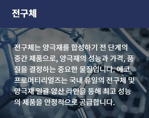 에코프로머티리얼즈 공모주