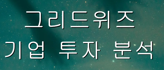 그리드위즈 기업 투자 분석