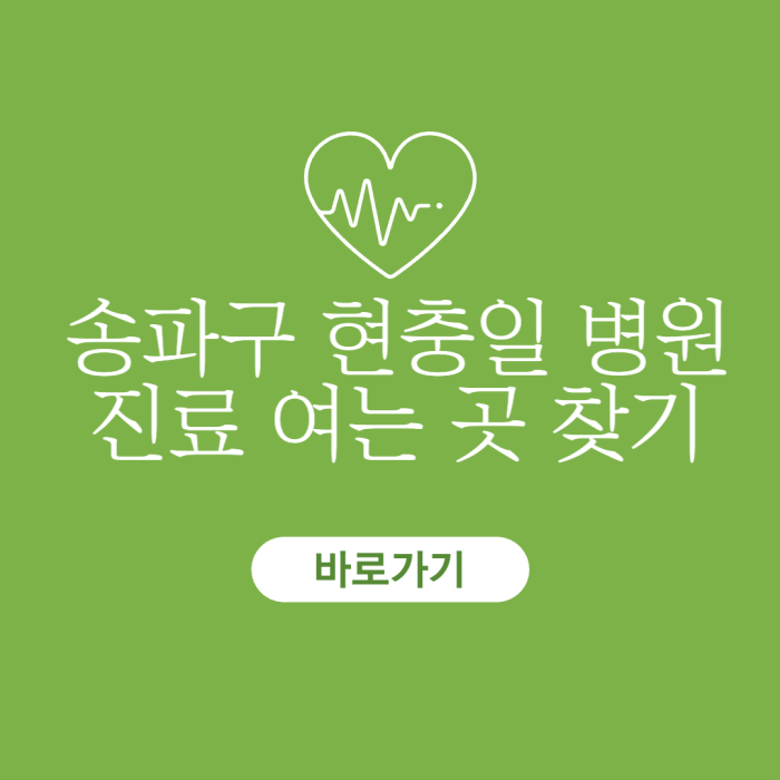 송파구-현충일-병원-진료-여는-곳-찾기