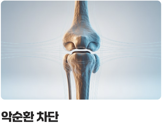 최고의 처방전, '근육'이라는 보호대 만들기