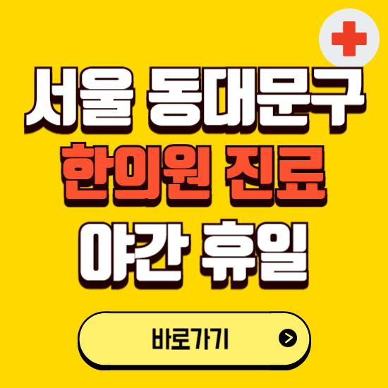 서울 동대문구 야간 휴일 한의원 한방병원 찾기 ❘ 24시 일요일 주말 연휴 응급진료 추천 잘하는 곳