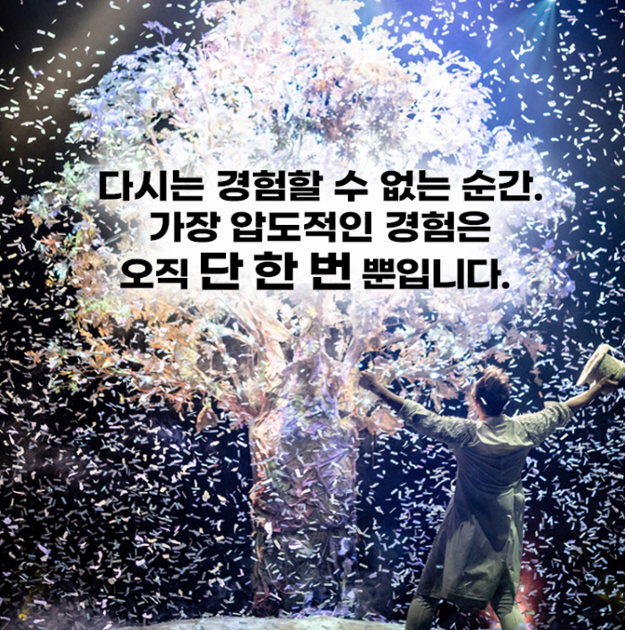 마술사 이은결