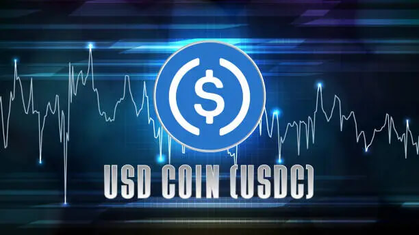 USDC 스테이블코인 이미지